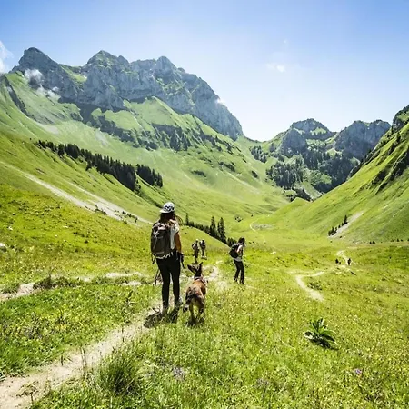 In Portes Du Soleil Area Châtel
