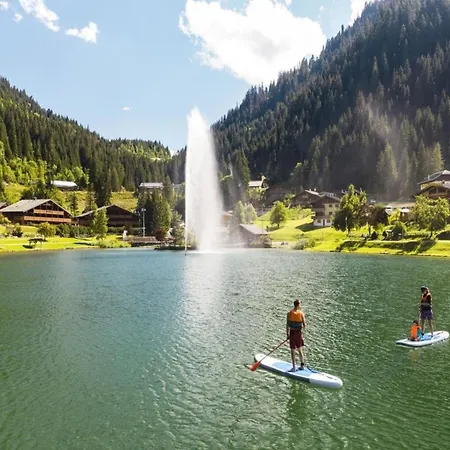 In Portes Du Soleil Area