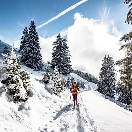 아파트 In Portes Du Soleil Area Châtel