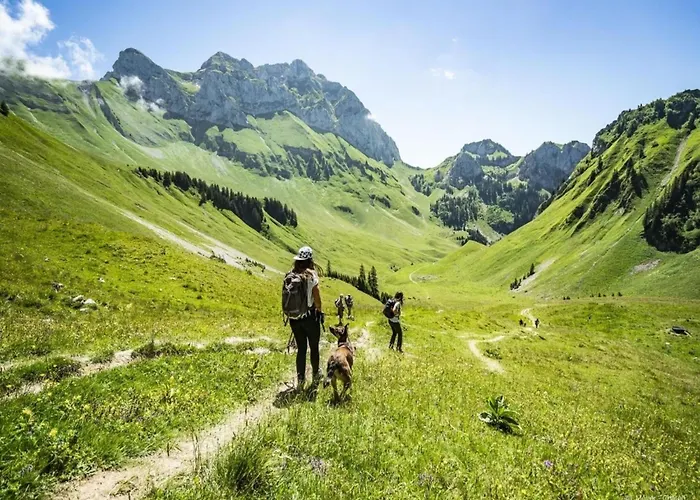 In Portes Du Soleil Area Châtel