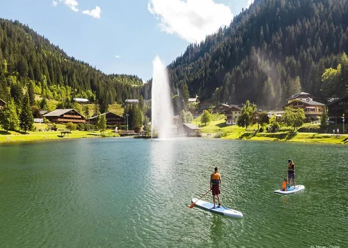 In Portes Du Soleil Area
