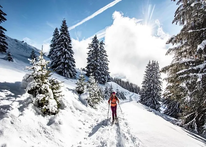 Apartmán In Portes Du Soleil Area Châtel