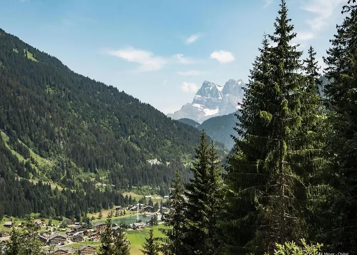Apartmán In Portes Du Soleil Area *