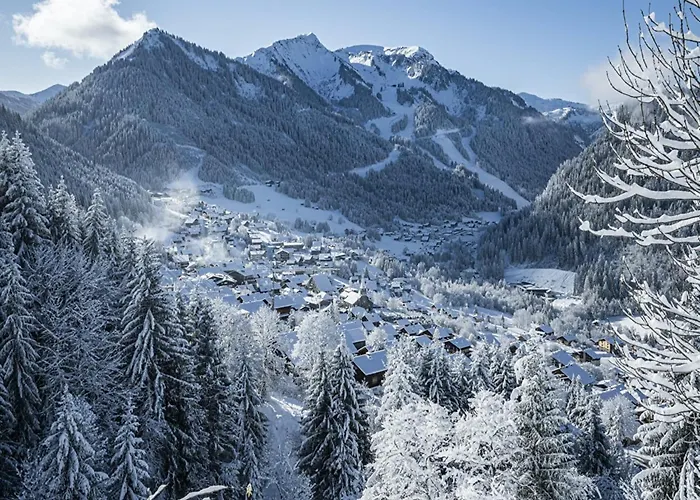 In Portes Du Soleil Area * Châtel